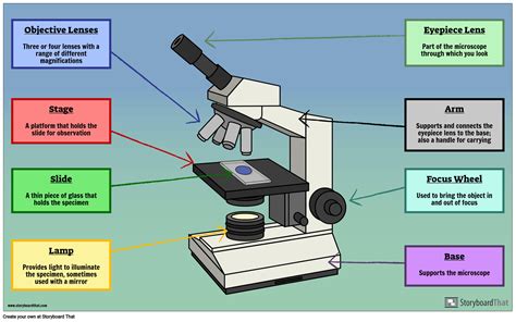 microscope slides explained